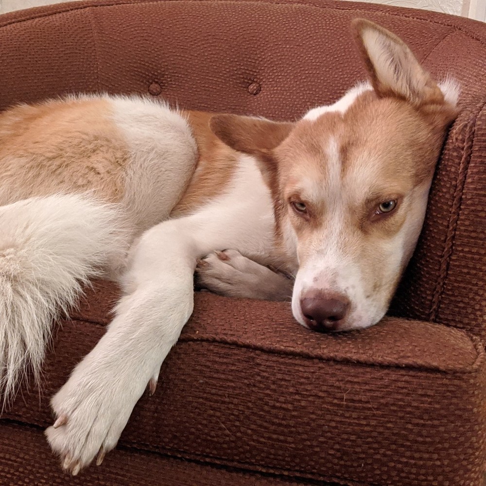 Meet your Posher, Paul